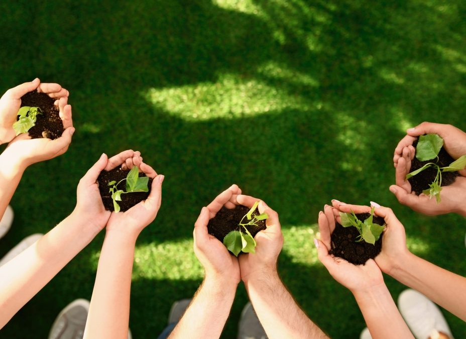 Édito de Stéphane Layani – Juin 2014