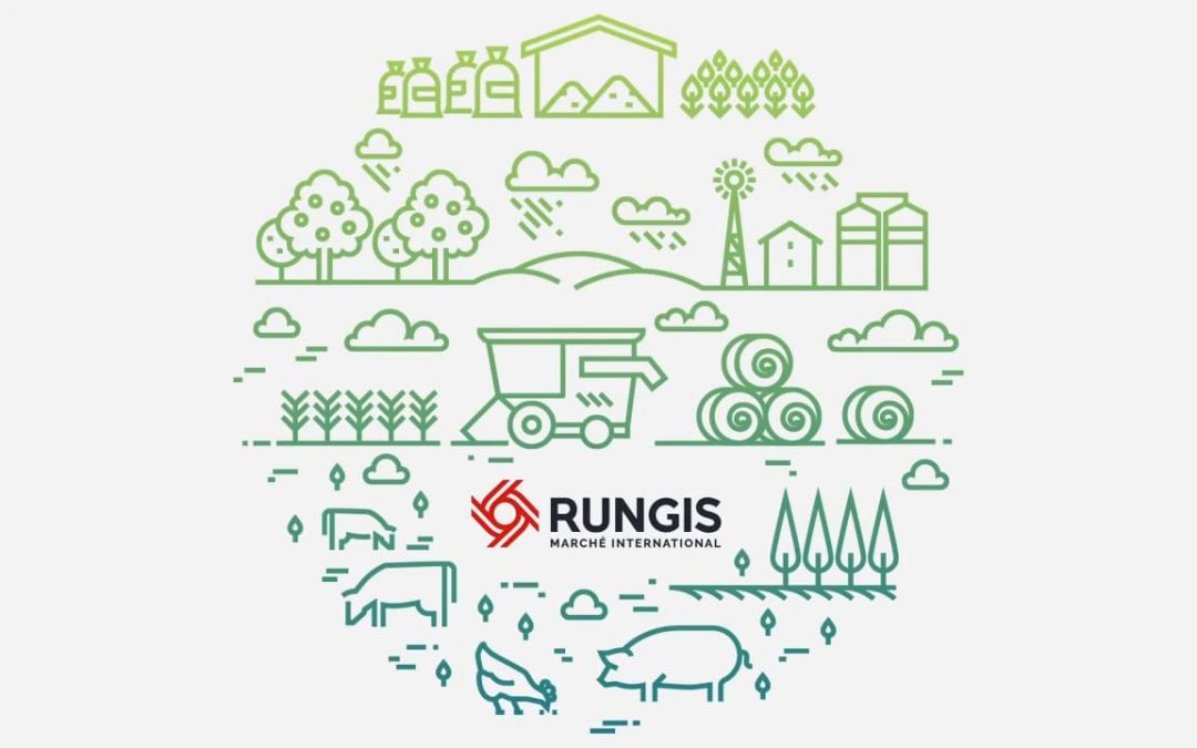RSE : Rungis prévoit de réduire ses émissions de gaz à effet de serre de 30 % d’ici 2030