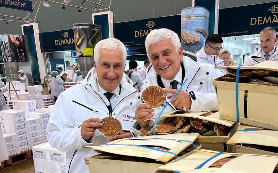 Les premières coquilles Saint-Jacques de Normandie arrivent à Rungis