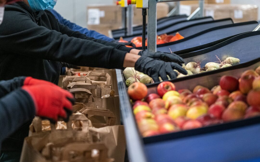 Sécurité alimentaire mondiale : les leviers d’action du Marché de Rungis pour éradiquer la faim