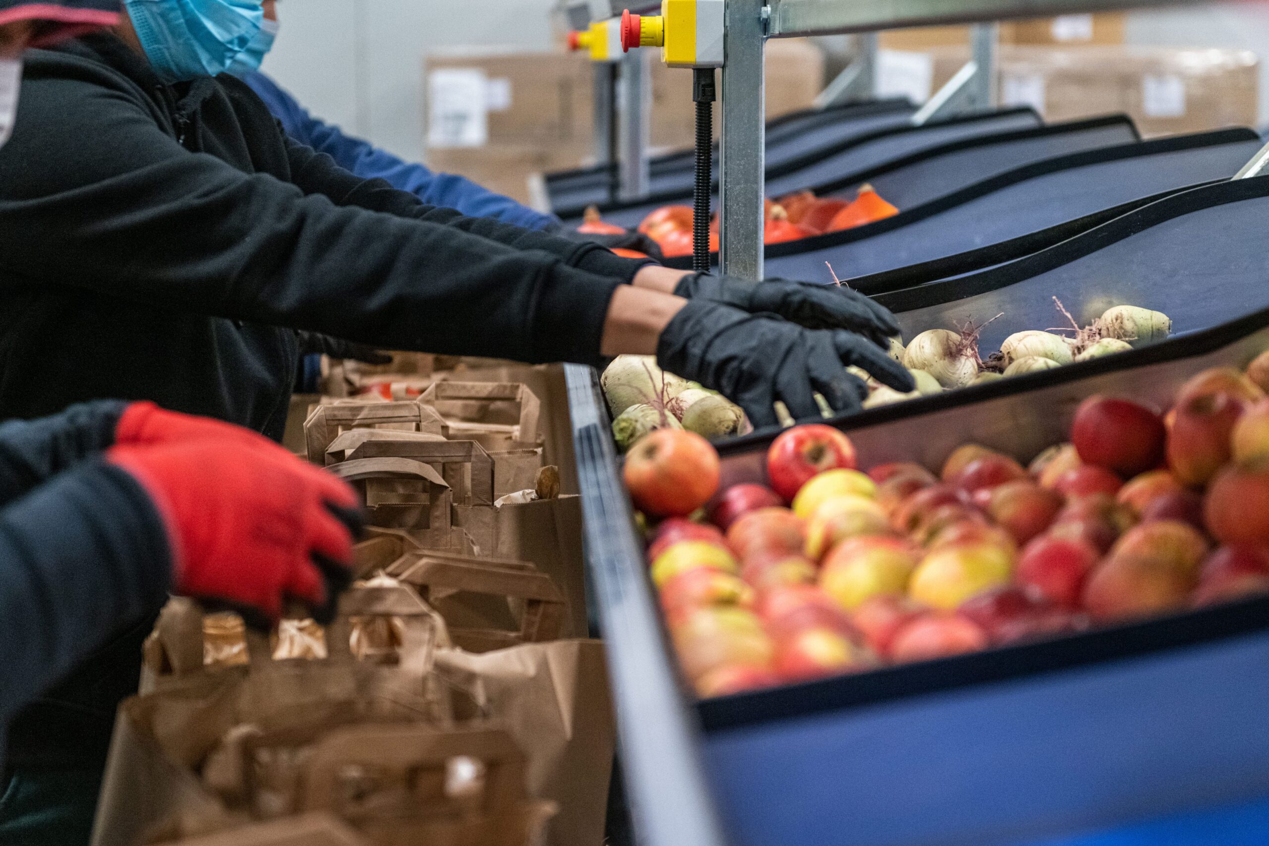 Les-leviers-daction-du-Marche-de-Rungis-pour-eradiquer-la-faim
